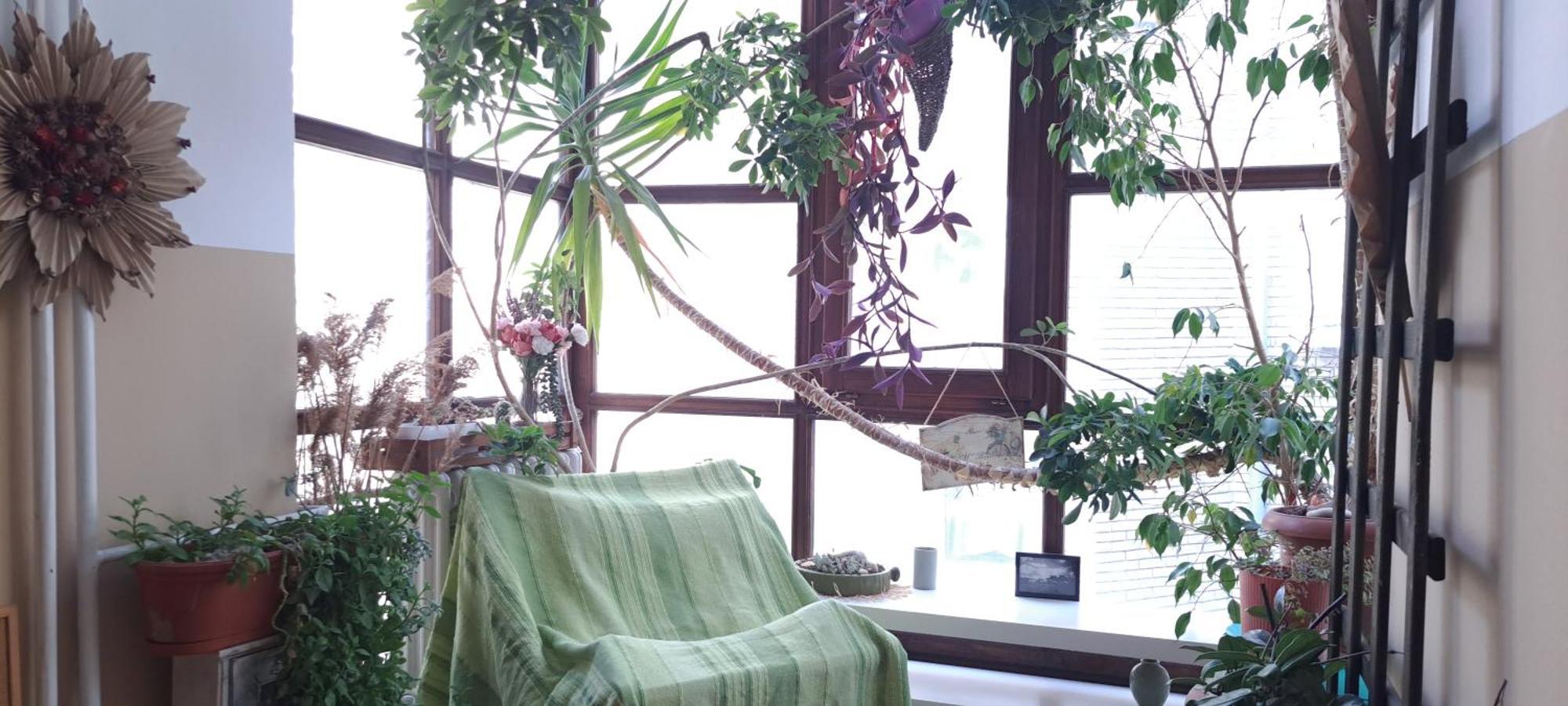 Green Land House Βελιγράδι Εξωτερικό φωτογραφία